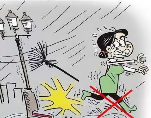 �꼾�����|�